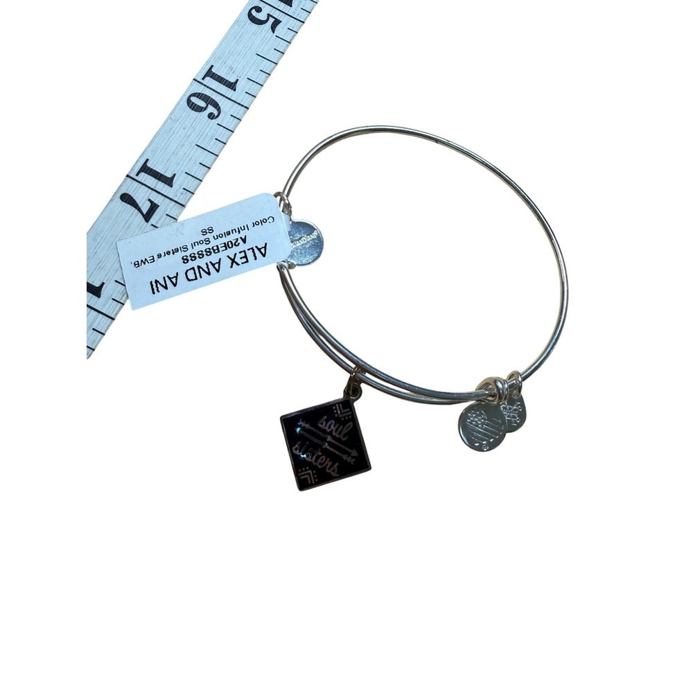 Alex and Ani Bangle Bracelet Silver Soul Sisters Charm Expandable‎ Friendship
